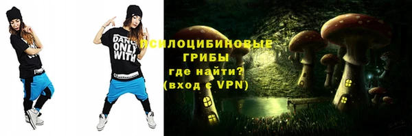 Альфа ПВП Арсеньев