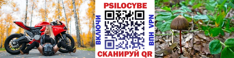 kraken зеркало  купить  цена  Петухово  Галлюциногенные грибы прущие грибы 